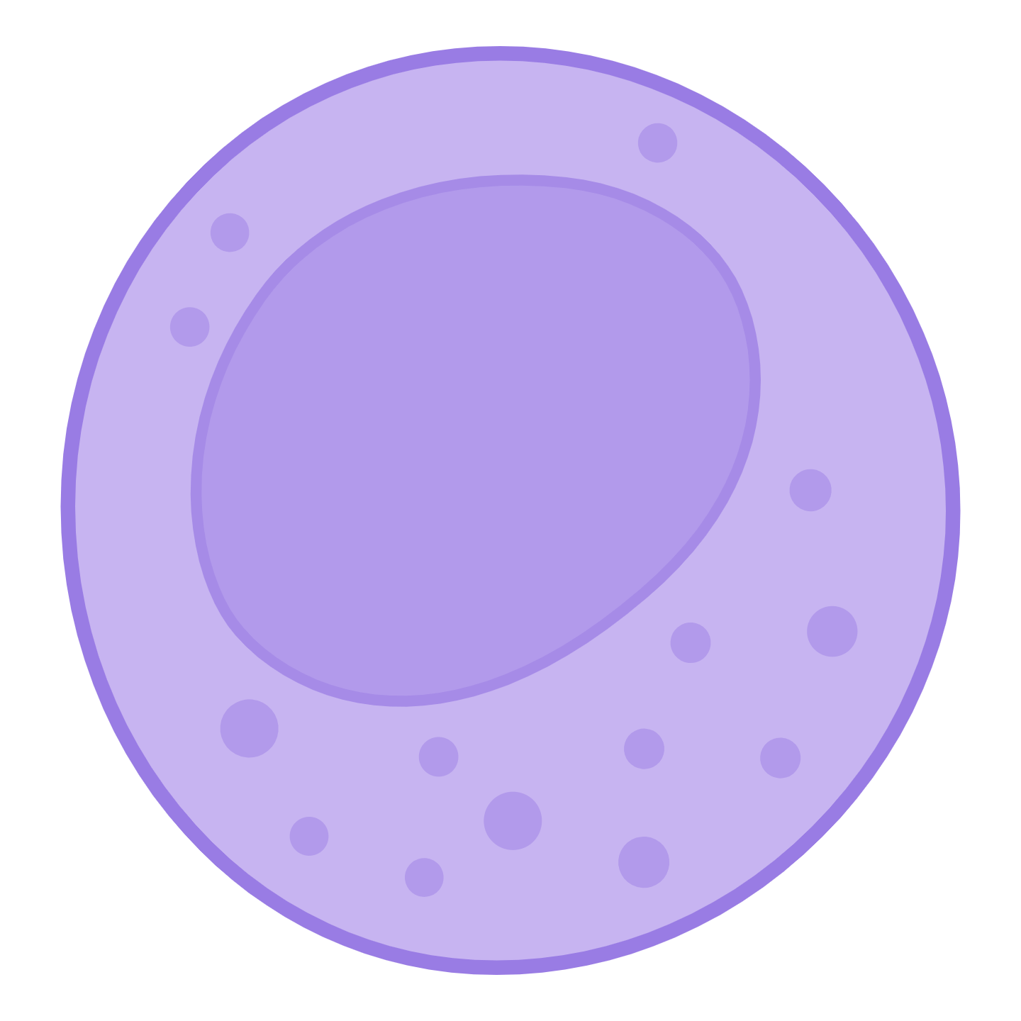 Cell-mediated rejection