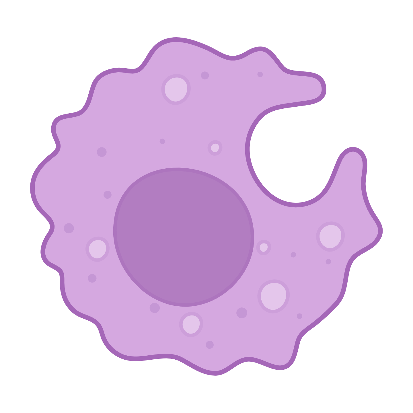 HLA Immunity Actors