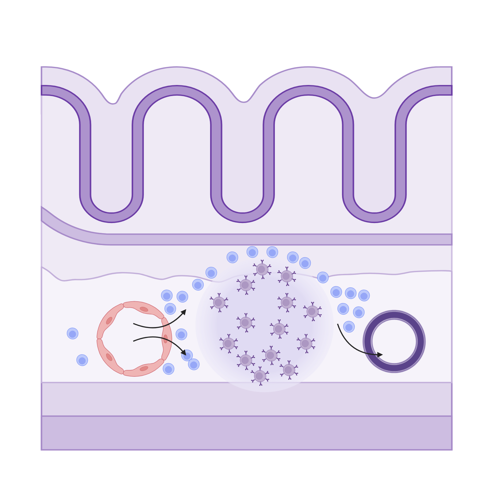 Mucosa-Associated Lymphoid Tissue