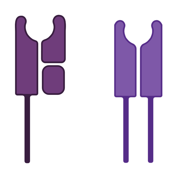 HLA Molecules