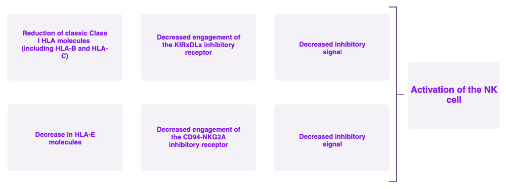 NK activation under HLA expression