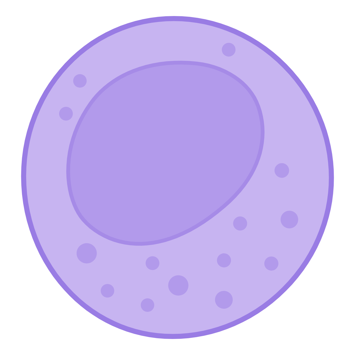Cellules NK